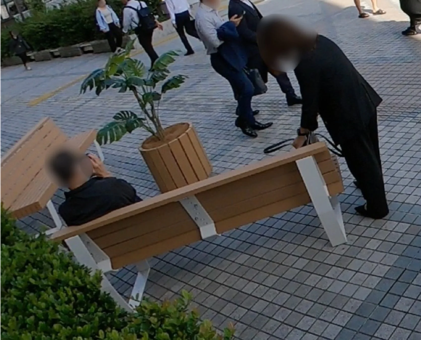 ベンチに座る人物と鉢植え