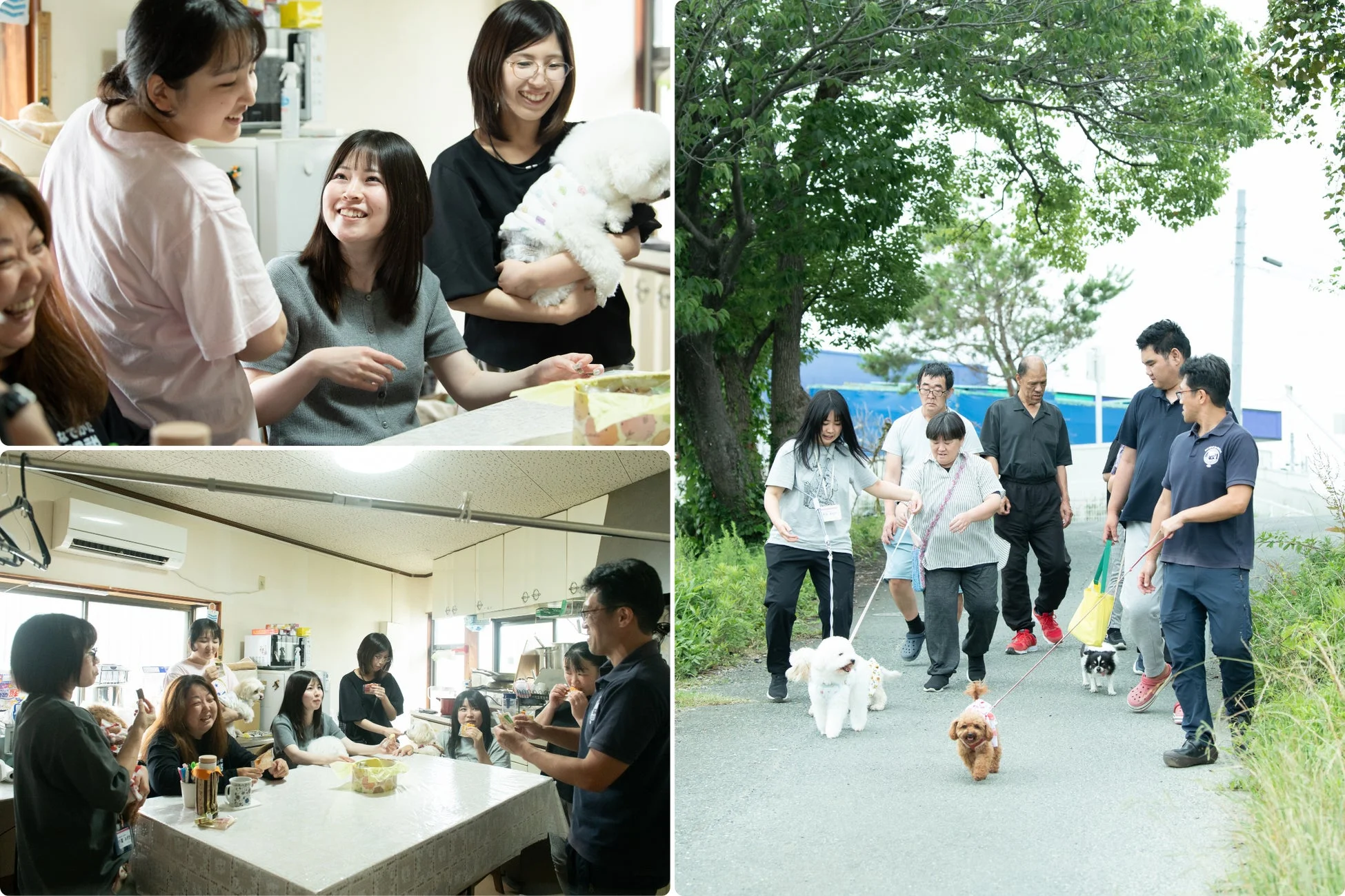 人々と犬の交流の様子
