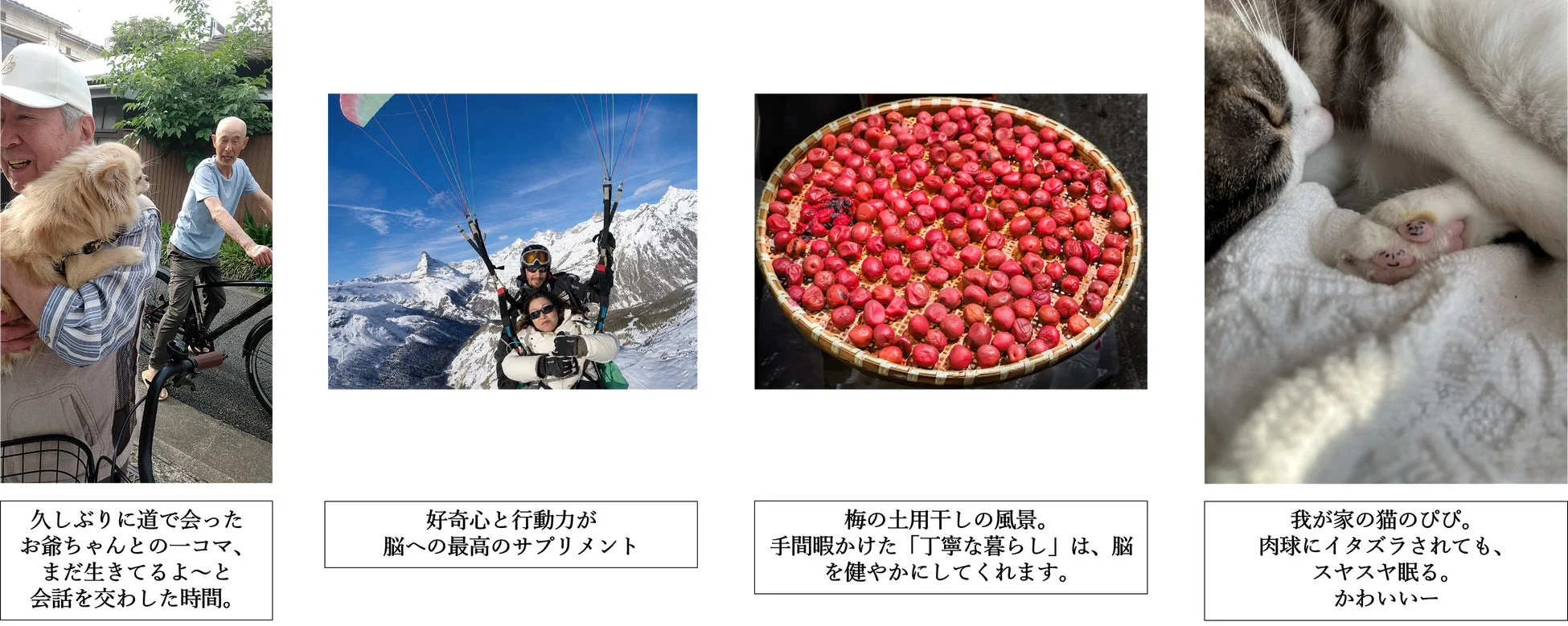 フォトメッセージ最終作品