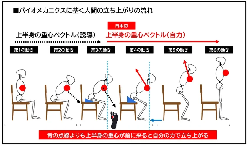 バイオメカニクスに基づき、椅子からの立ち上がり動作を6段階で図解。上半身の重心が前に移動すると自力で立ち上がれる原理を示します。