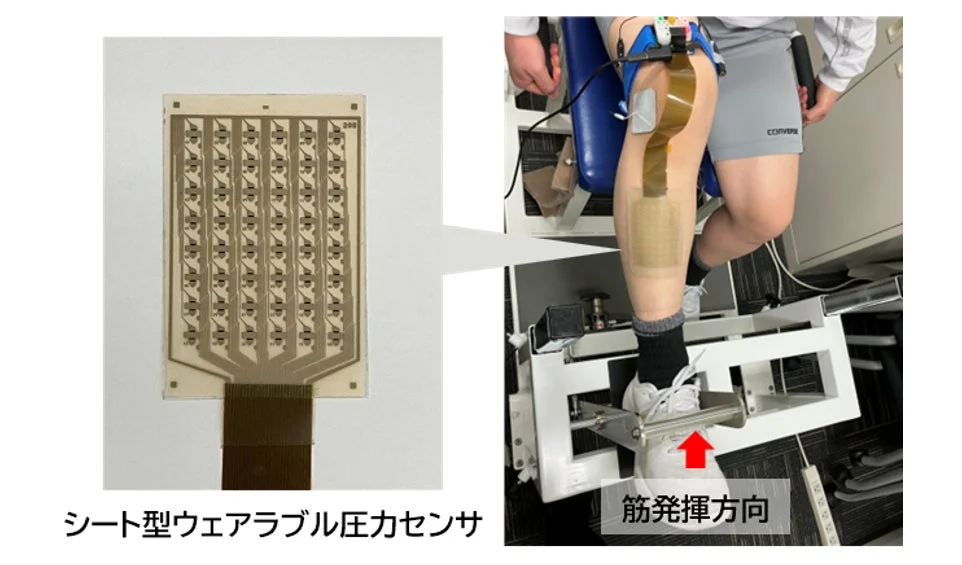 小型センサで瞬発力を手軽に推定―TOPPANと東京都健康長寿医療センターが身体機能評価の新技術を検証