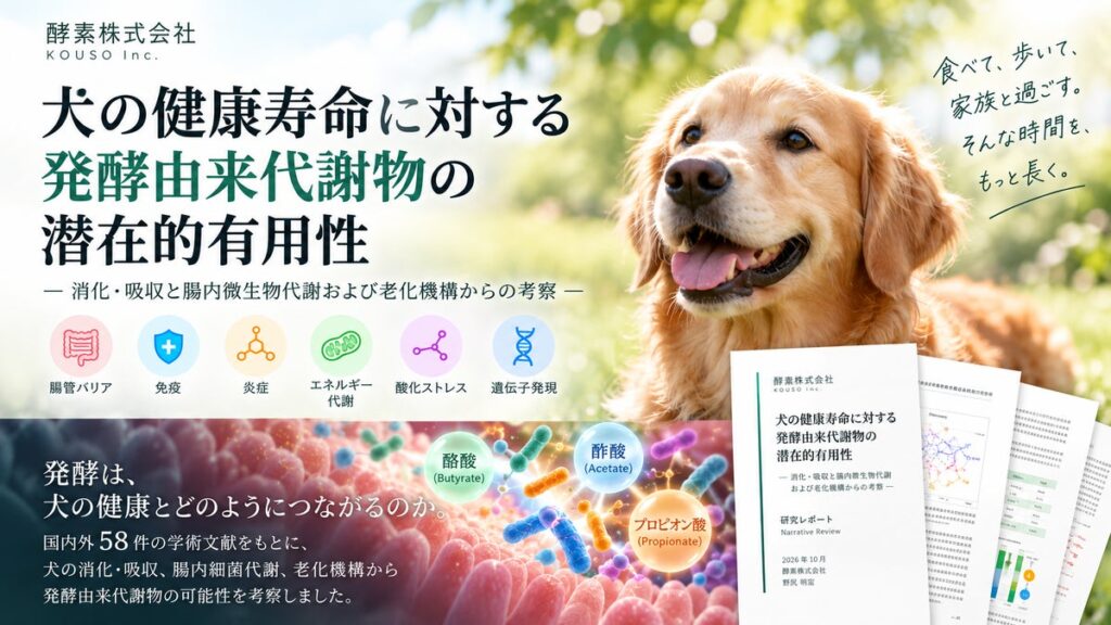 犬の健康寿命に「発酵由来代謝物」はどう関わるのか。58件の文献をもとに研究レポートを公開
